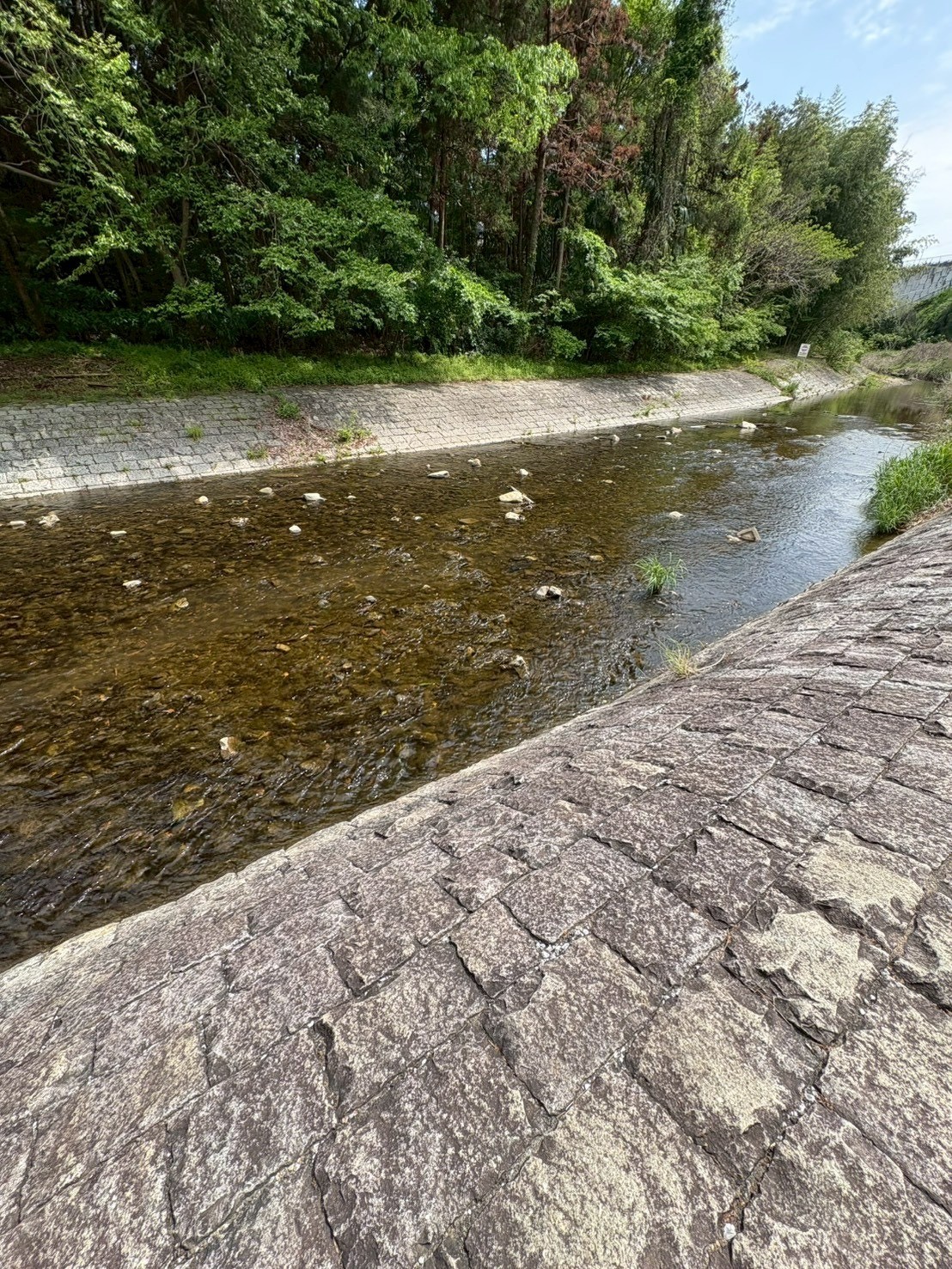 686be2eb884c5088e67f8b6f2f226237-1778894708.jpeg