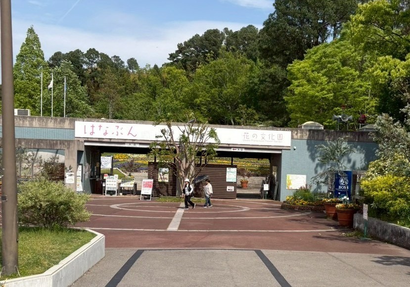 b7a4ff94c1ccdb156928ff77c4988efa-1778895282.jpeg